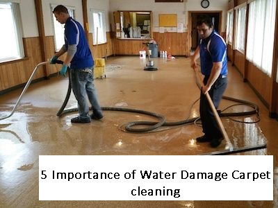 Water-damage-carpet-cleaning