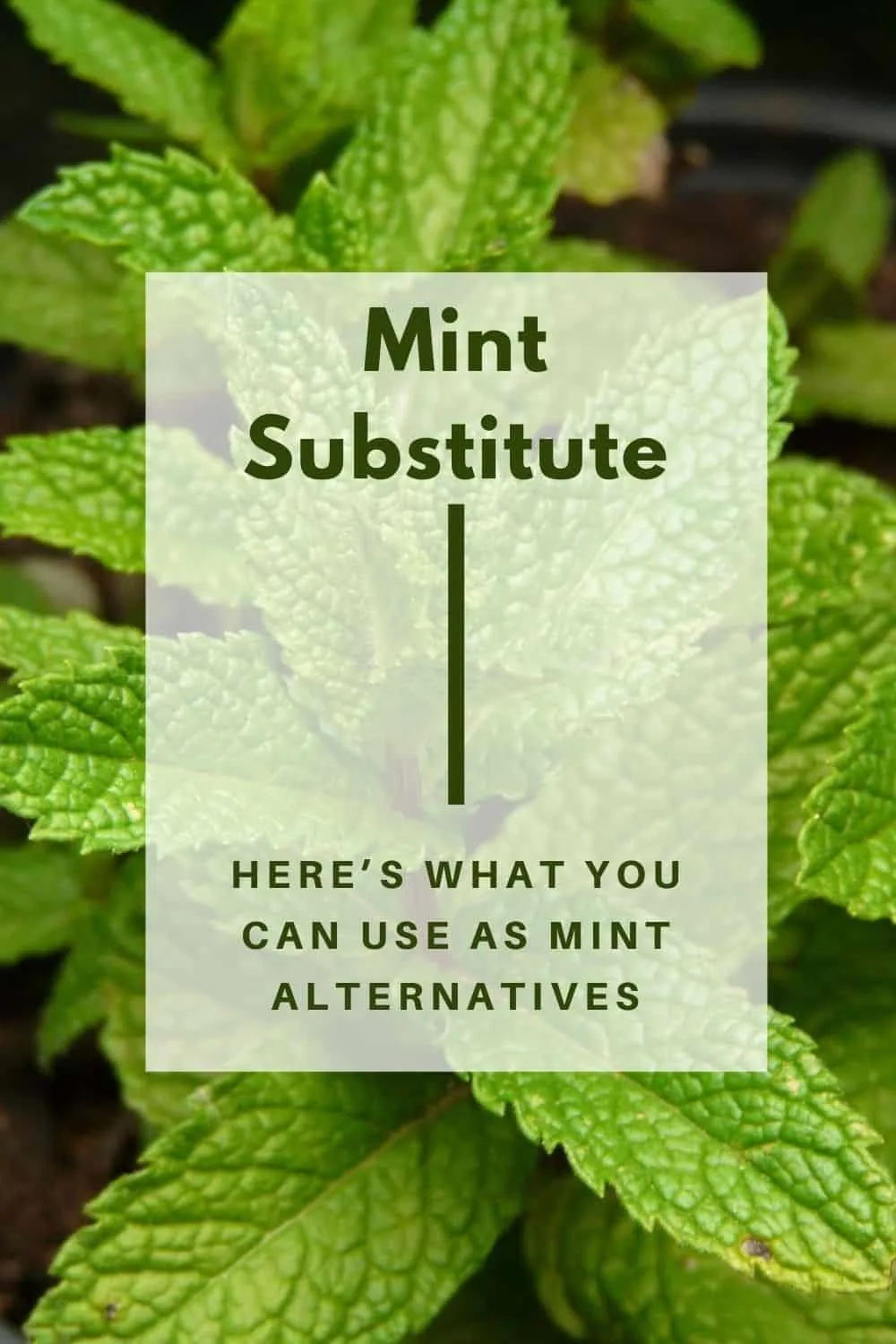 Alternative to Mint
